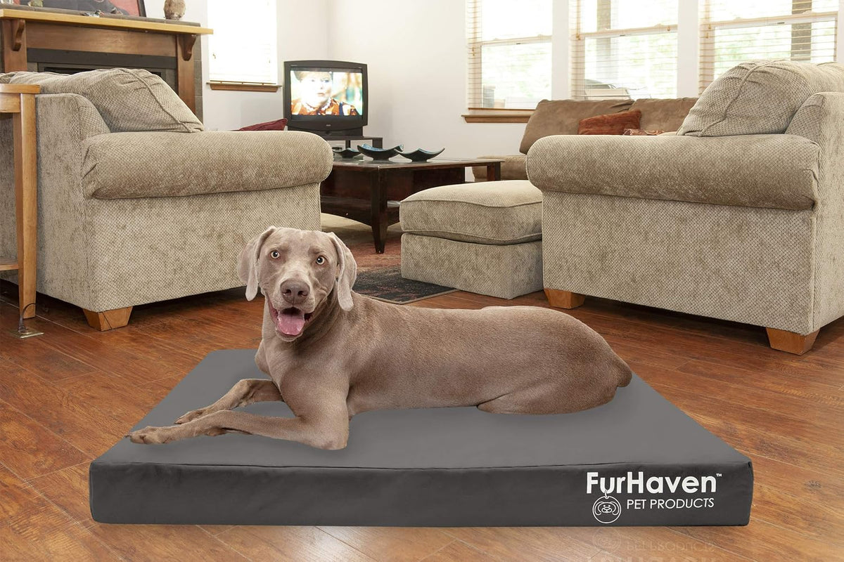 Furhaven Water-Resistant Cooling Gel Dog Bed for Large Dogs W/ Removable Washable Cover, for Dogs up to 125 Lbs - Indoor/Outdoor Logo Print Oxford Polycanvas Mattress - Stone Gray, Jumbo Plus/Xxl