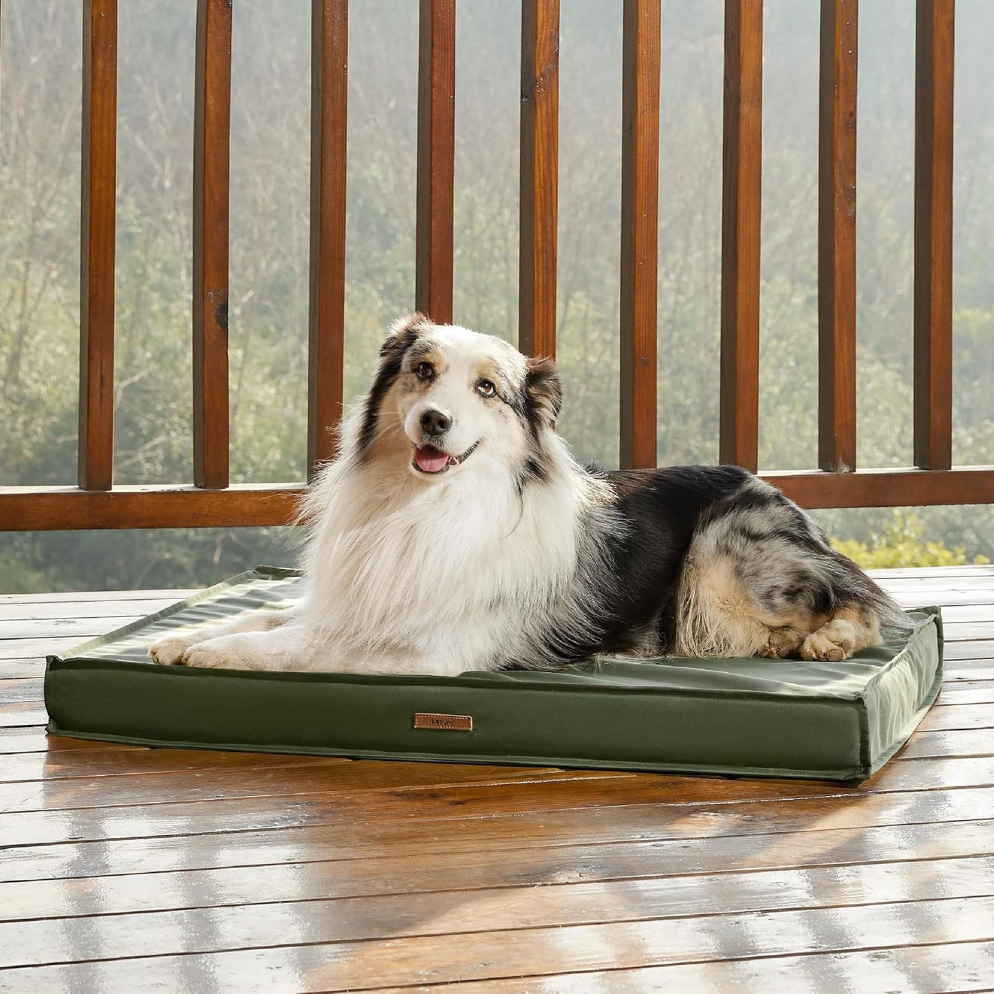 Outdoor Waterproof Dog Beds Large Sized Dog, Orthopedic Egg Crate Foam Pet Bed with Oxford Fabric Surface and Removable Washable Cover, Pet Mat 36''X27'', Green