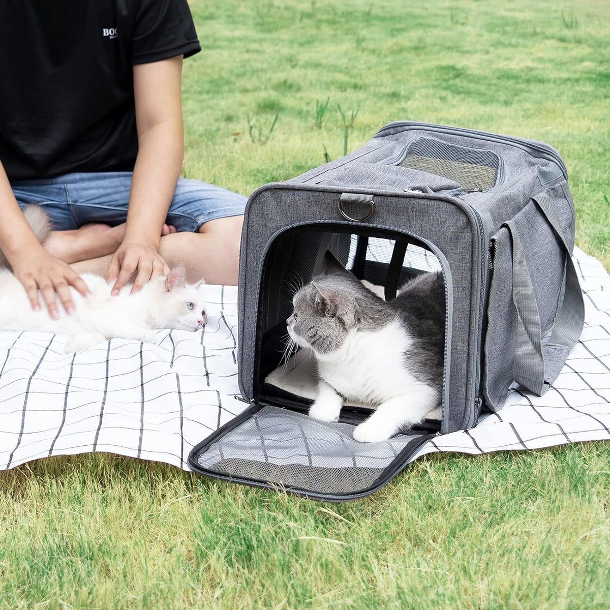 GAPZER Pet Carrier for Large Cats up to 20Lbs Soft-Sided Privacy Protection