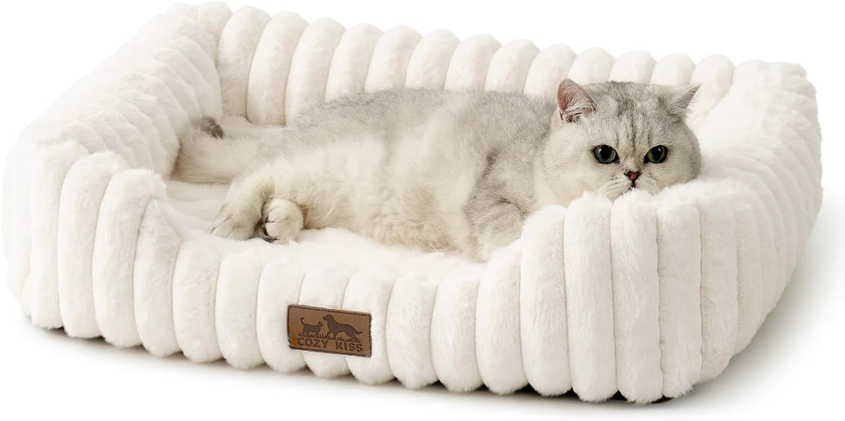 Orthopedic Dog Bed for Small Dogs & Cats - Washable Rectangle Pet Bed with Anti-Slip Bottom, Soft Calming Cat & Puppy Bed for Indoor Pets (25"X21"X6", Cream)