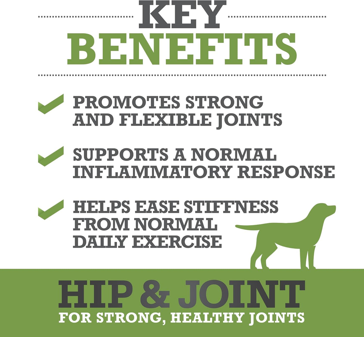 WINPRO Hip & Joint Supplement for Dogs - Plasma Powered Soft Chews for Joint Health & Mobility – Fast-Acting with Collagen & Natural Ingredients for Dogs of All Breeds – 60 Chews