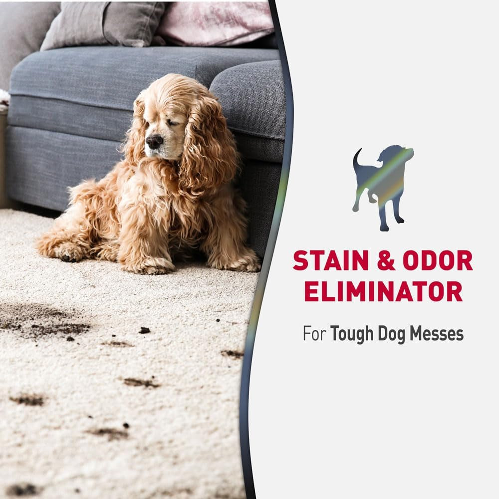 Nature’S Miracle Advanced Stain & Odor Eliminator, Sunny Lemon Scent, Severe Mess Enzymatic Formula for Tough Pet Messes, 1 Gallon