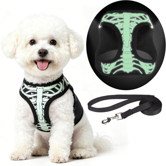 Halloween Dog Harness and Leash Set for Small Medium Dogs,Step in No Pull Soft Mesh Comfort Padded Pet Vest Harness,Glow-In-Dark Skeleton Design Easy Walking Puppy&Cat Harness for Holiday M