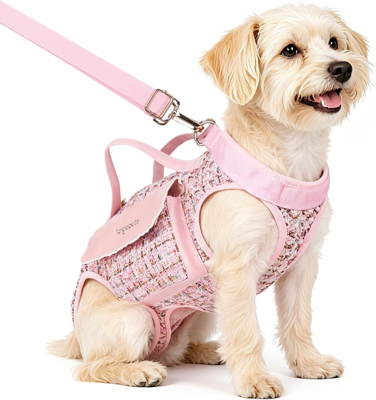 Dog Lift Harness Carrier with Leash, Breathable Fashion Small Dog Sling Carrier, Portable Pet Purse for Walking Shopping Travel