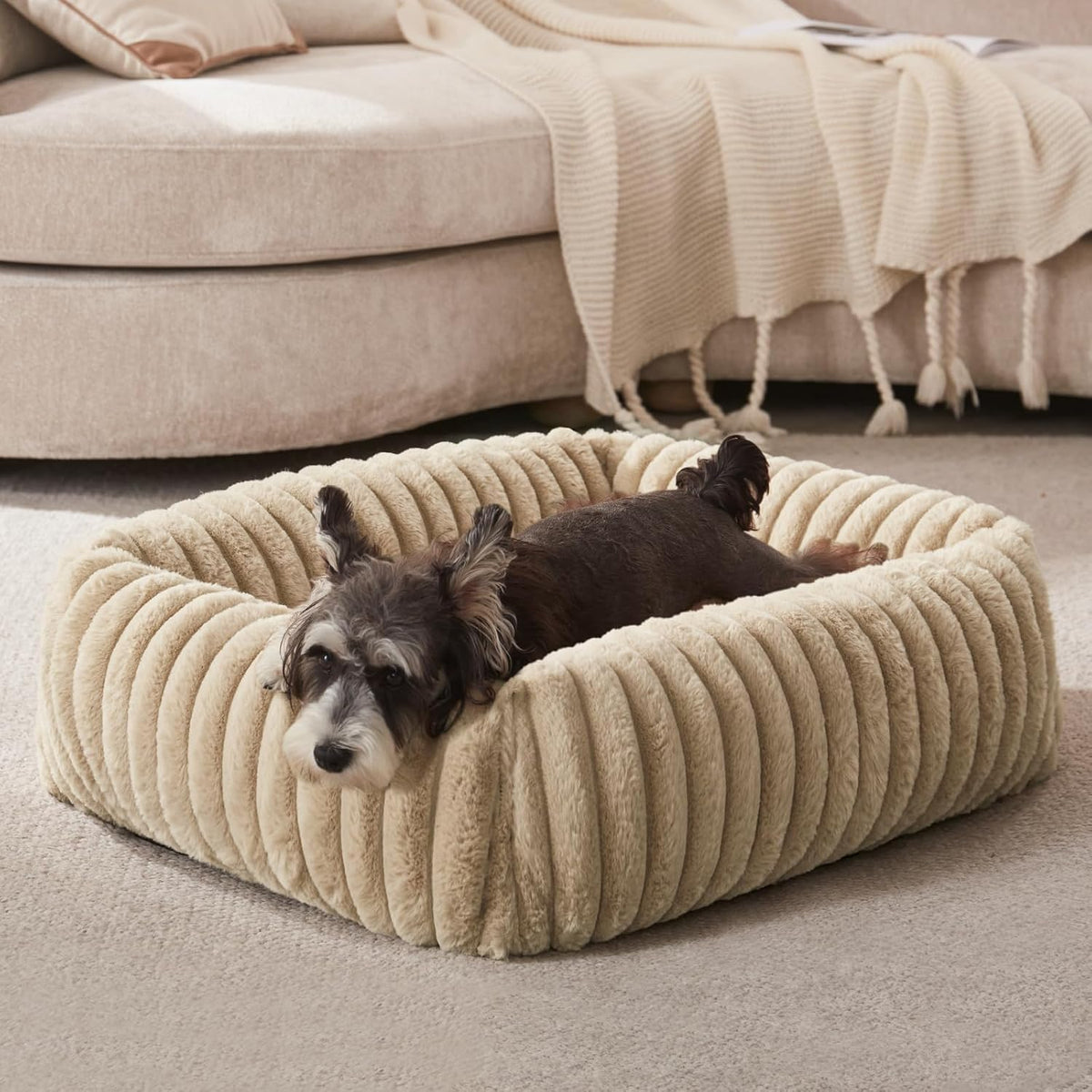 FURTIME Dog Bed for Small Dogs, Washable Orthopedic Dog Bed with Removable Cover, Rectangle Soft Calming Sleeping Puppy Bed Durable Pet Cuddler with Anti-Slip Bottom, Beige, S (20"X19"X6")