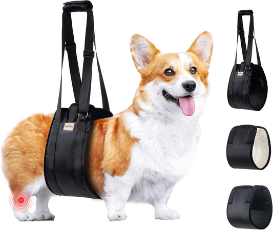 Detachable and Replaceable Dog Sling for Dogs Hind Leg Support (M)