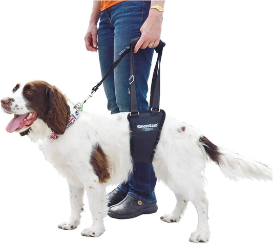 Dog Support Sling Rear Leg Harness, SM Male, Machine Wash & Dry