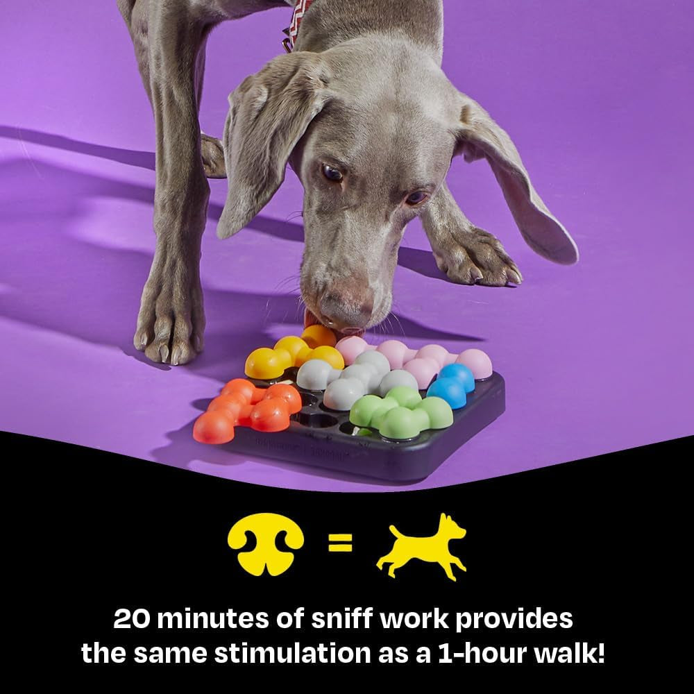 Brightkins Kanoodle Dog Edition Small - Dog Toys for Small Dogs, Interactive Puppy Toys, Food Puzzle for Dogs, Cat Puzzle Toy Feeder, Stimulating Pet Puzzles, Mental Enrichment Puppy Games