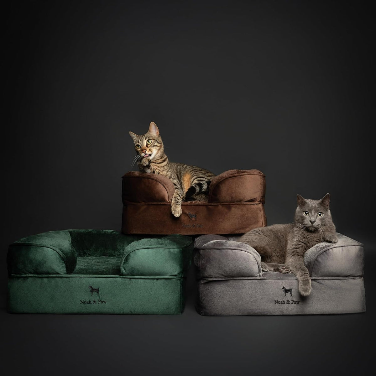 NOAH & PAW XL Dog Bed, 45X35X11 Inch, Orthopedic Large Dog Beds, Eggshell Memory Foam Infused with Cooling Gel, Inner Cover, Water Resistant, Machine Washable