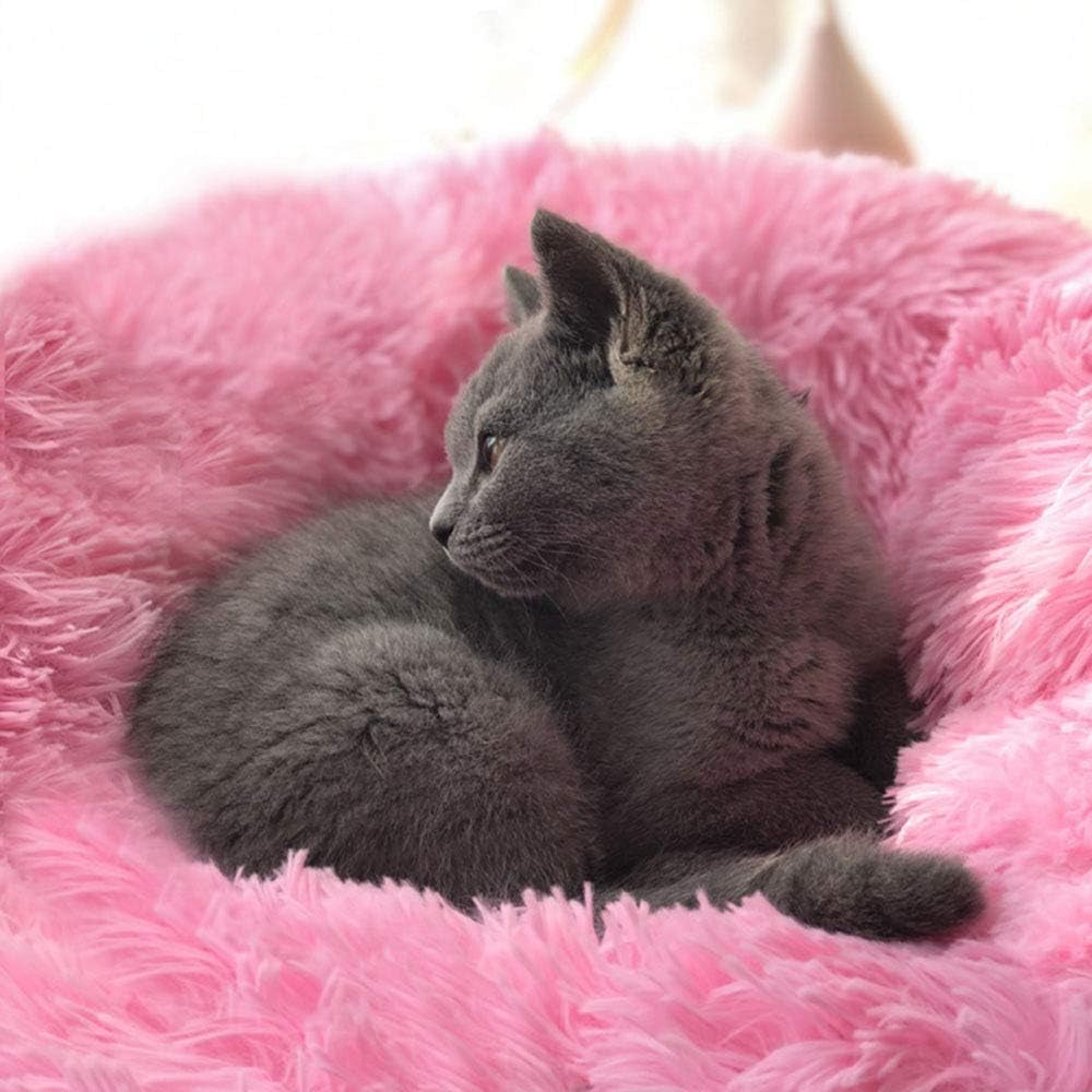 Cat Bed for Indoor Cats,Mini Plush Self Warming Kitten Bed, 20 Inch