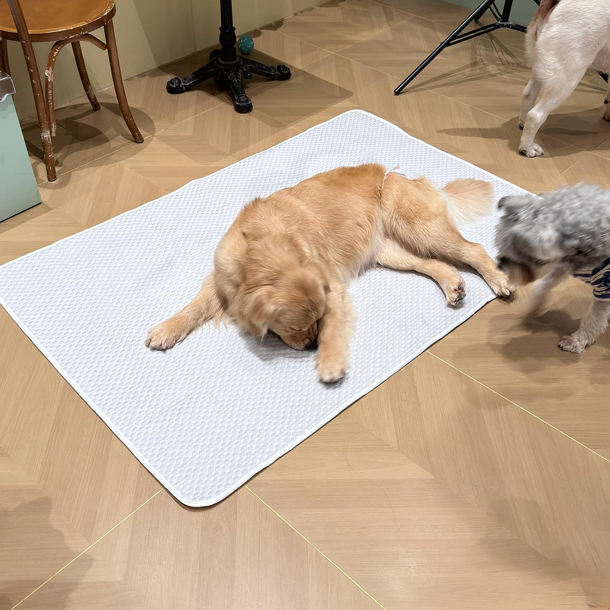 Cooling Mat for Giant Dog 60"X40", Washable Waterproof Non-Slip Pad