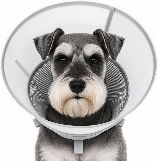 Soft Dog Cone Collar for Small Dogs, Adjustable Recovery Collar to Stop Licking, Comfortable E-Collar Alternative after Surgery, S