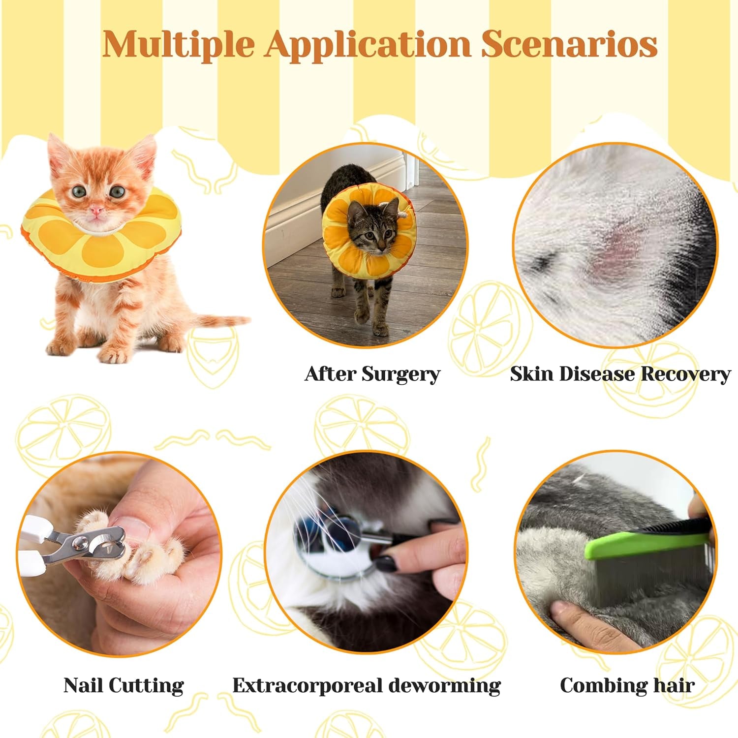 Kitten Cones after Surgery 0-6 Months, Donut Extra Small Kitten Cone Collar Soft to Stop Licking Neck, Elizabethan Kittens E Collar for Recovery, Xs Small Cat Cone Spray, Pet Soft Cone for Cats