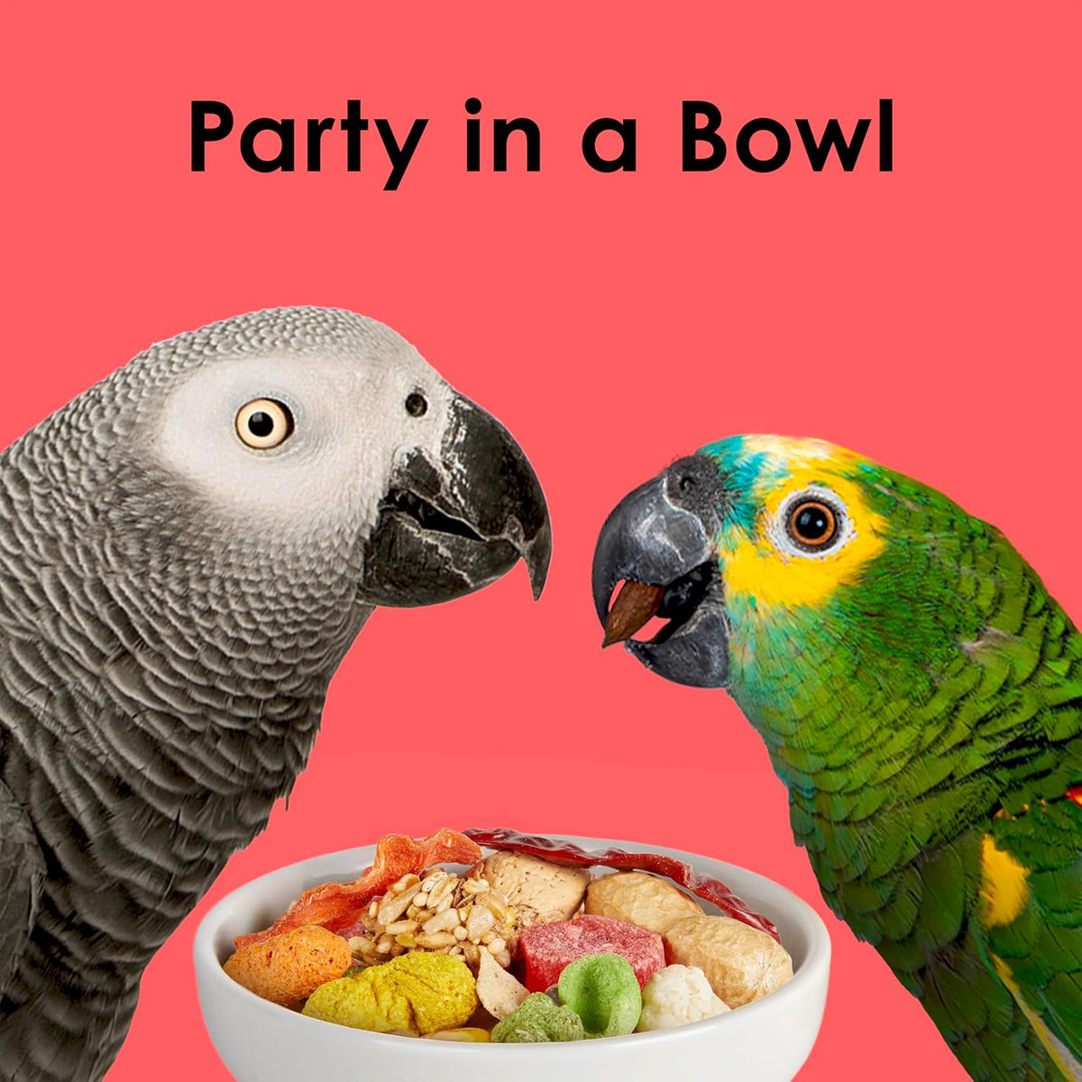 Kaytee Fiesta Parrot Food for Large Birds, 2.5 Pounds