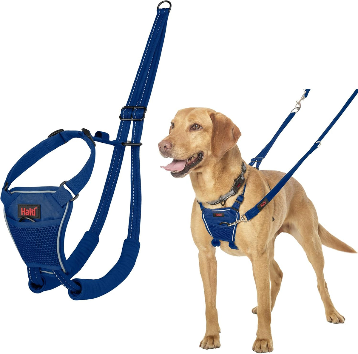 Halti No Pull Dog Harness | Size M, Cobalt Blue