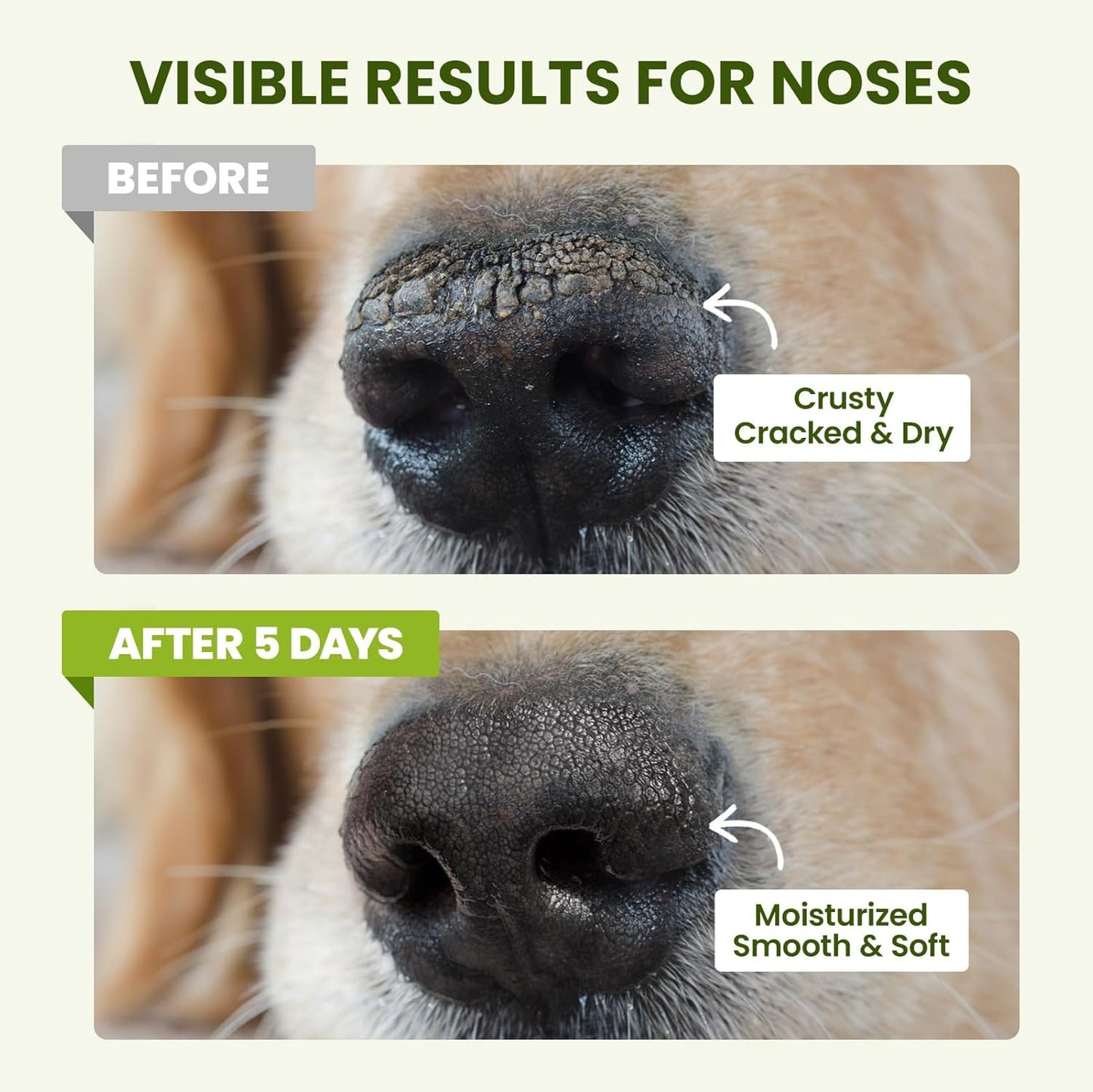 Pawsono Lick-Safe Dog Paw & Nose Balm with Coconut Oil | All-Natural Moisturizer & Soother for Dry, Cracked Pads & Snout, Heat & Cold Pavement Protection, Horse Hoof Care