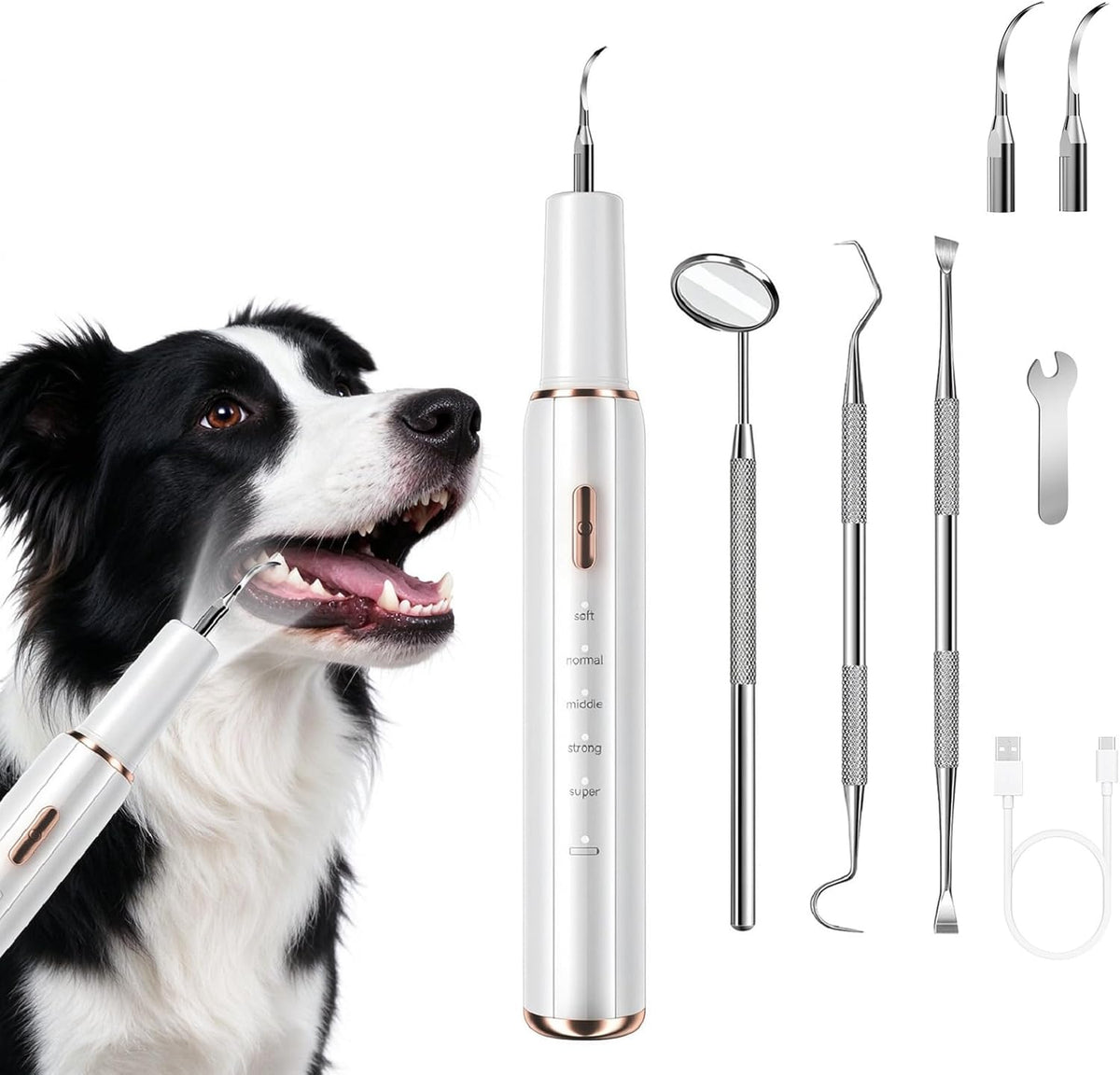 Dog Plaque Remover for Teeth,Pet Ultrasonic Tooth Cleaner