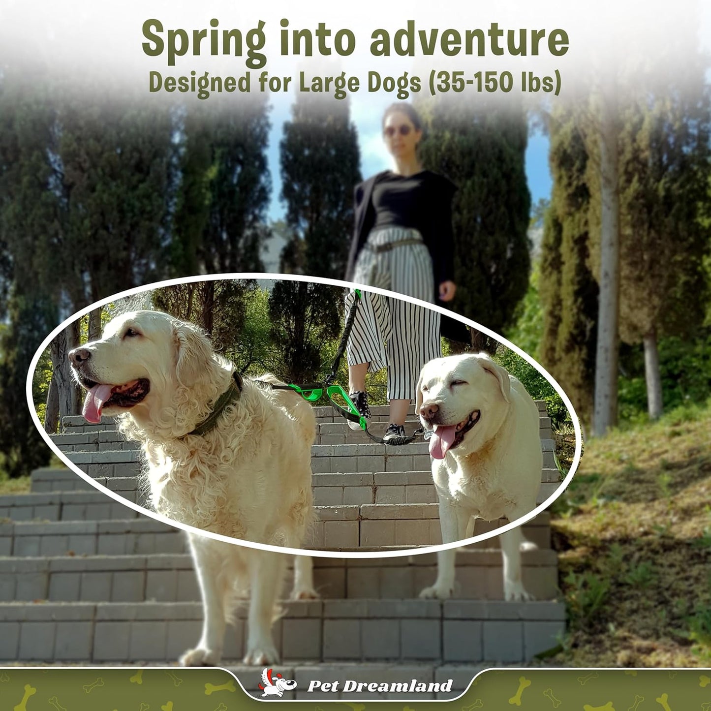 Pet Dreamland Exquisite Double Dog Coupler No Tangle Swivel for Two Large Dogs. Premium Quality Attachment for Easy Dog Walking. You Will Absolutely Love This Amazing Gear (Black & Green)
