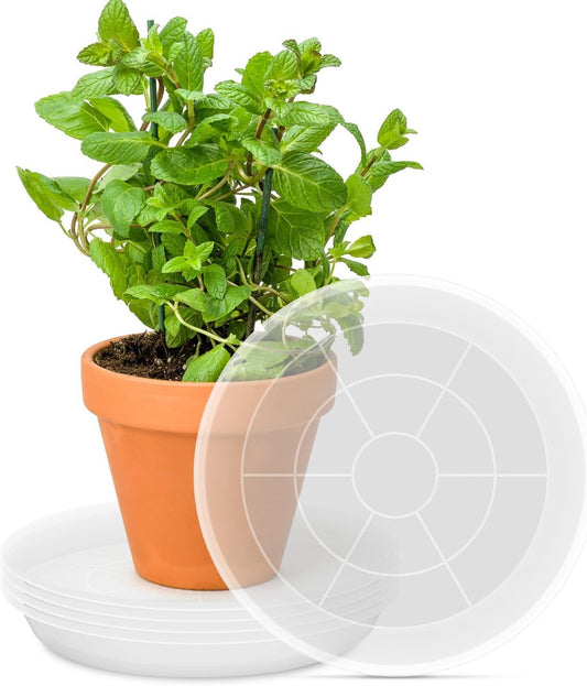 PACETAP 12 Inch 5 Pack Plant Saucer Pot Tray, Large Thickened PP Plastic Flower Planter Water Drip Trays for Indoor Outdoor Garden, Semi-Transparent Planter Water Catcher for Pot, Plant Dish