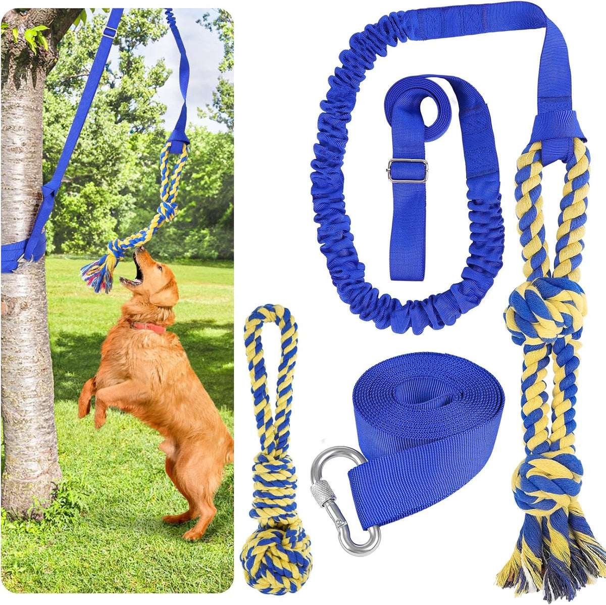 Xiaz Tug of War Dog Toy, Interactive Dogs Toy Bungee Hanging Tether with 2 Chew Rope Toys, Heavy Duty Puppy Outdoor Activity Aggressive Chewers Best Small to Large Boredom Exercise and Play (Blue)