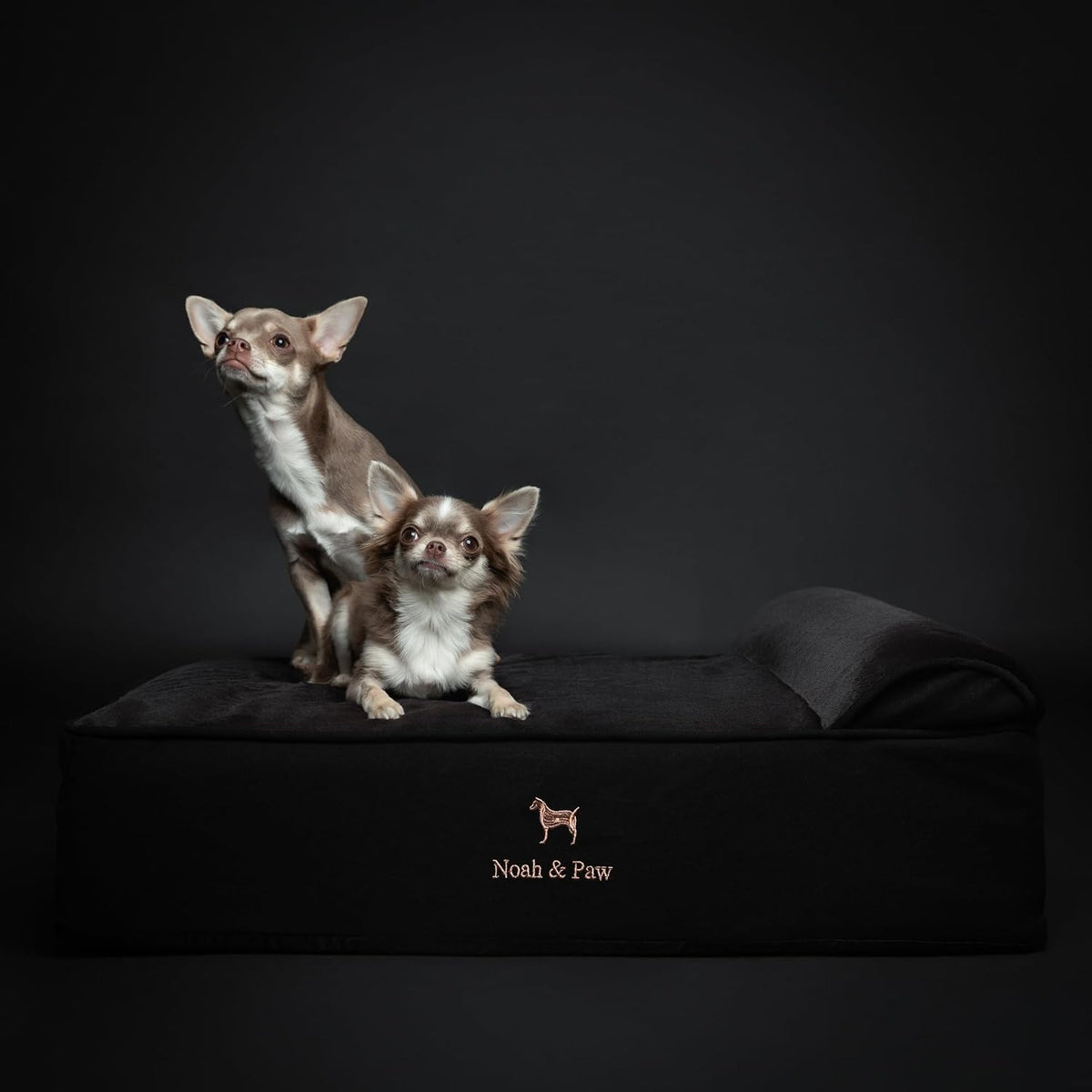 NOAH & PAW Dog Bed, 28X23X7.5 Inch, Orthopedic Dog Beds for Medium Size Pets, Eggshell Memory Foam Infused with Cooling Gel, Water Resistant, Machine Washable, Includes Inner Cover