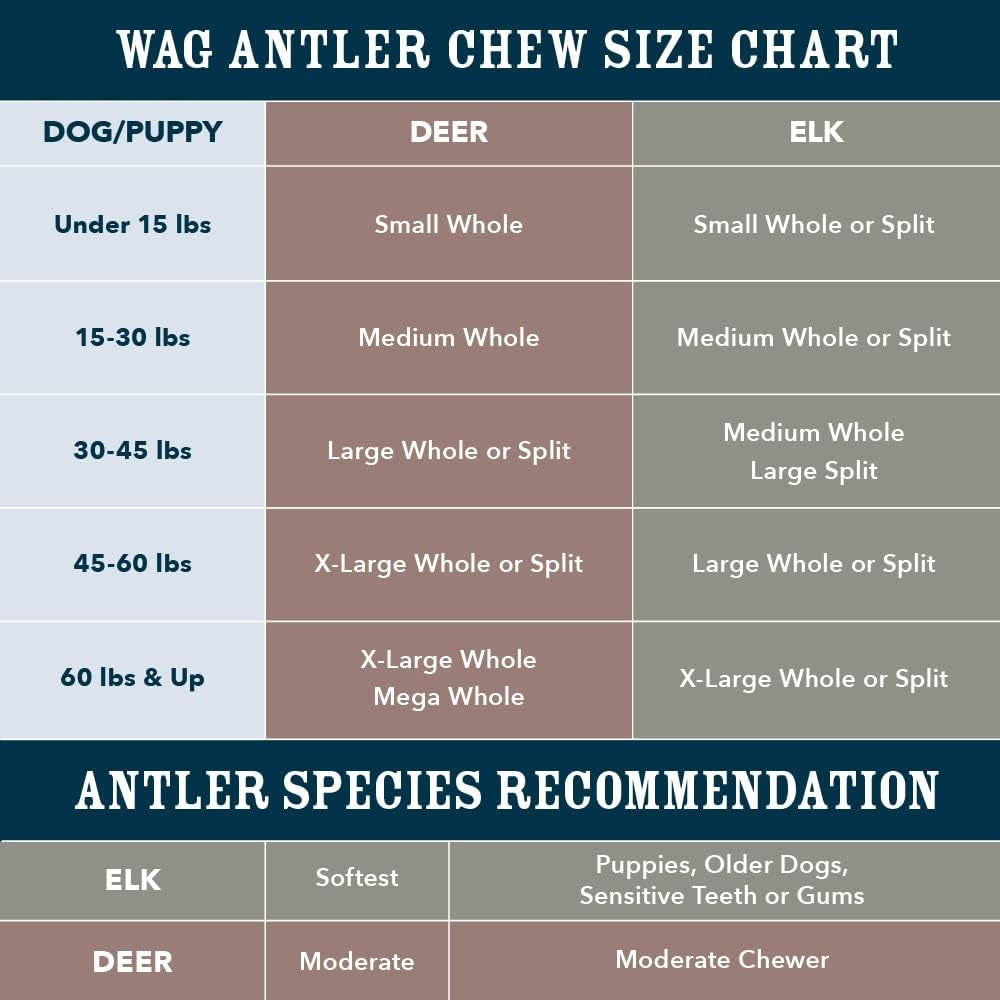 Amazon Brand - Wag Elk Antler - Whole - Long Lasting for Aggressive Chewers - X-Large 9.5-10.5 Inches (Best for Dogs over 45 Lbs)