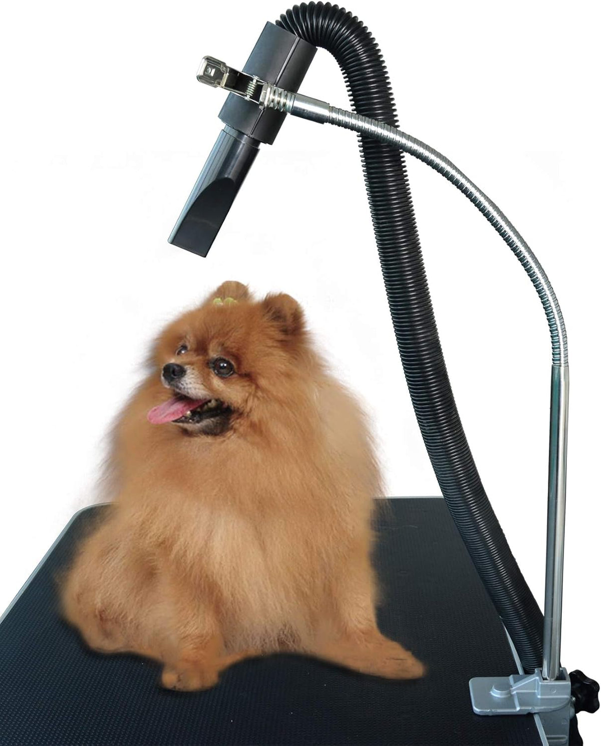 SHELANDY Dog Pet Grooming Table Hair Dryer Stand Hose Tube Holder Hands-Free Stainless Steel Groomers Adjustable Third Arm with Clamp