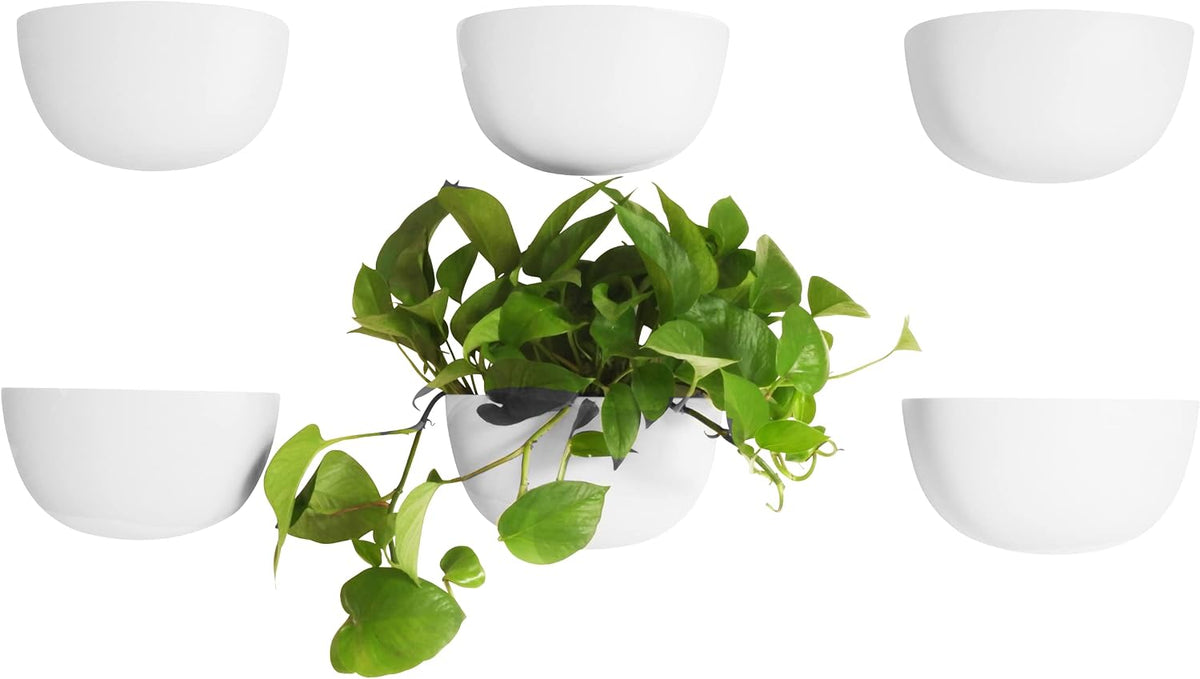 Make Good Virgo Wall Planters (Wide, Set of 6) - Easy to Water and Install - Lightweight - Design Your Own Vertical Garden - Melamine Plastic