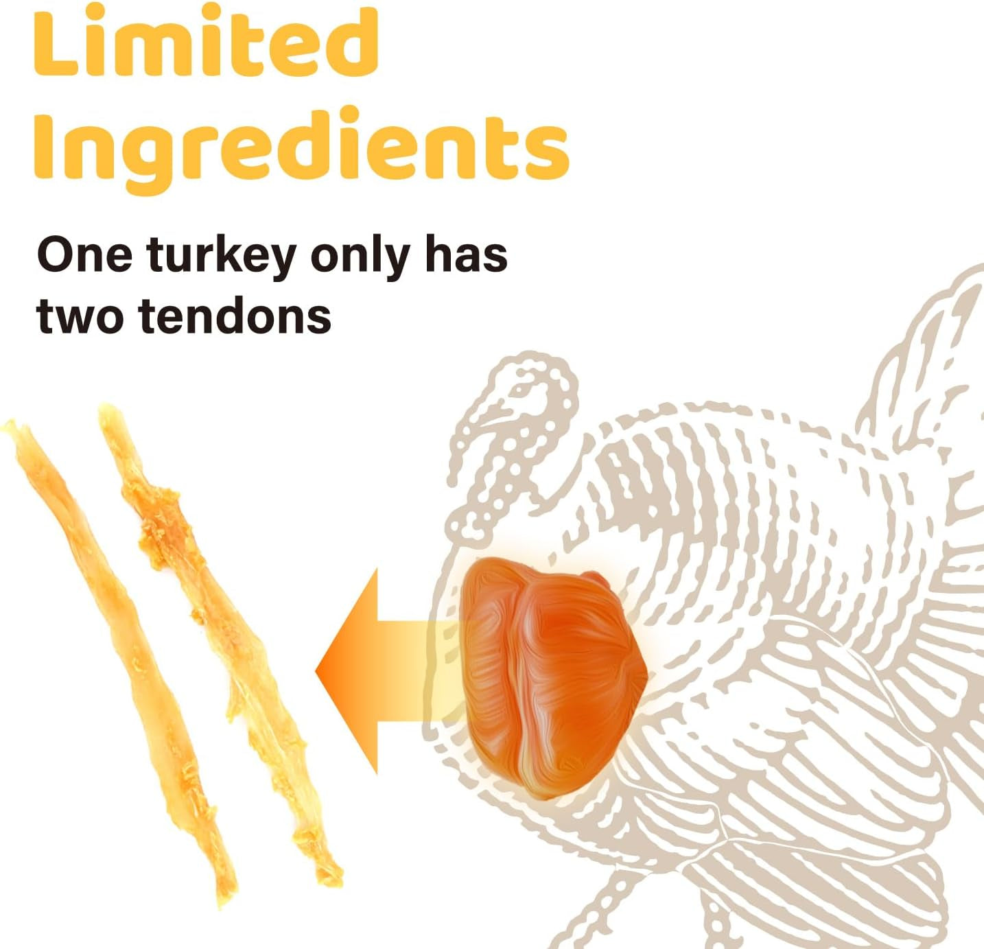 Ipaw Turkey Tendons for Dogs, Single Protein, Hypoallergenic, All Natural Human Grade Puppy Chew, Rawhide Alternative Dog Treats, 1 Pack Strip (Large)