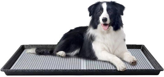 Hq4Us Dog Pee Pad Holder Tray with Grate 34”×23”, Large Dog Litter Box Toilet, Puppy Pee Pad Holder, Less Mess, Dog Potty Indoor Outdoor for Balcony