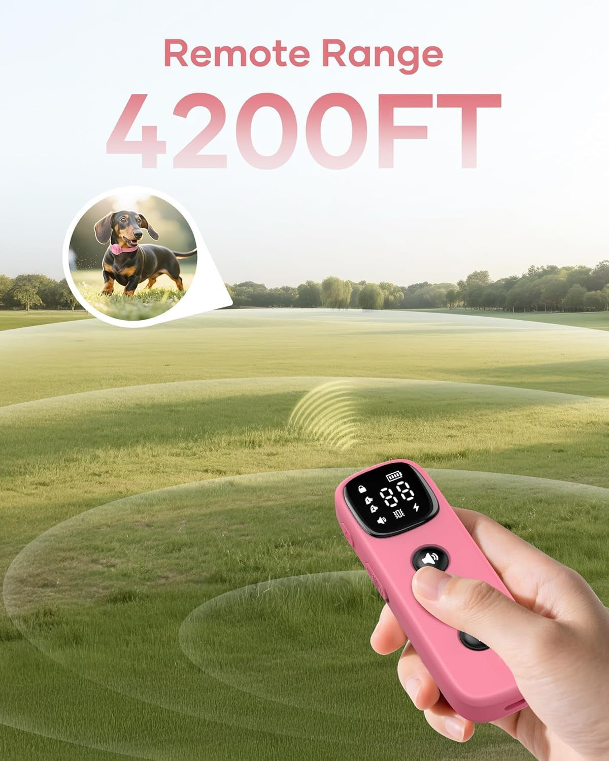 2-In-1 Pet ID Tag & Shock Collar for Small Dogs - 4200FT Dog Training Collar with Remote for 5-30Lbs Dogs, IPX8 Waterproof Rechargeable E-Collar with Beep(1-9), Vibration(1-3), Safe Shock(0-16)