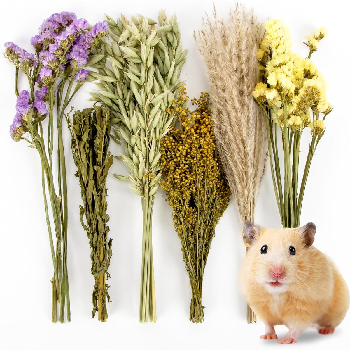 Sukh 42Pcs Hamster Sprays Natural - Sprays & Forage for Small Animals