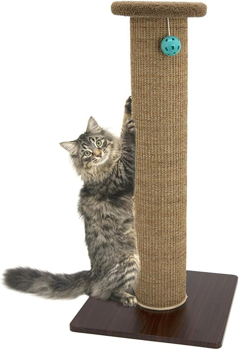 Kitty City Tall Sisal Cat Scratching Post, 32” Durable Scratcher with Sturdy Base & Hanging Jingle Toy, Easy Assembly, Furniture Protection for Indoor Cats - Brown