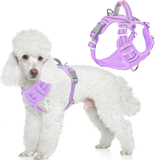 BARKBAY No Pull Dog Harness for Small Sized Dogs,Id Tag Holder Dog Vest