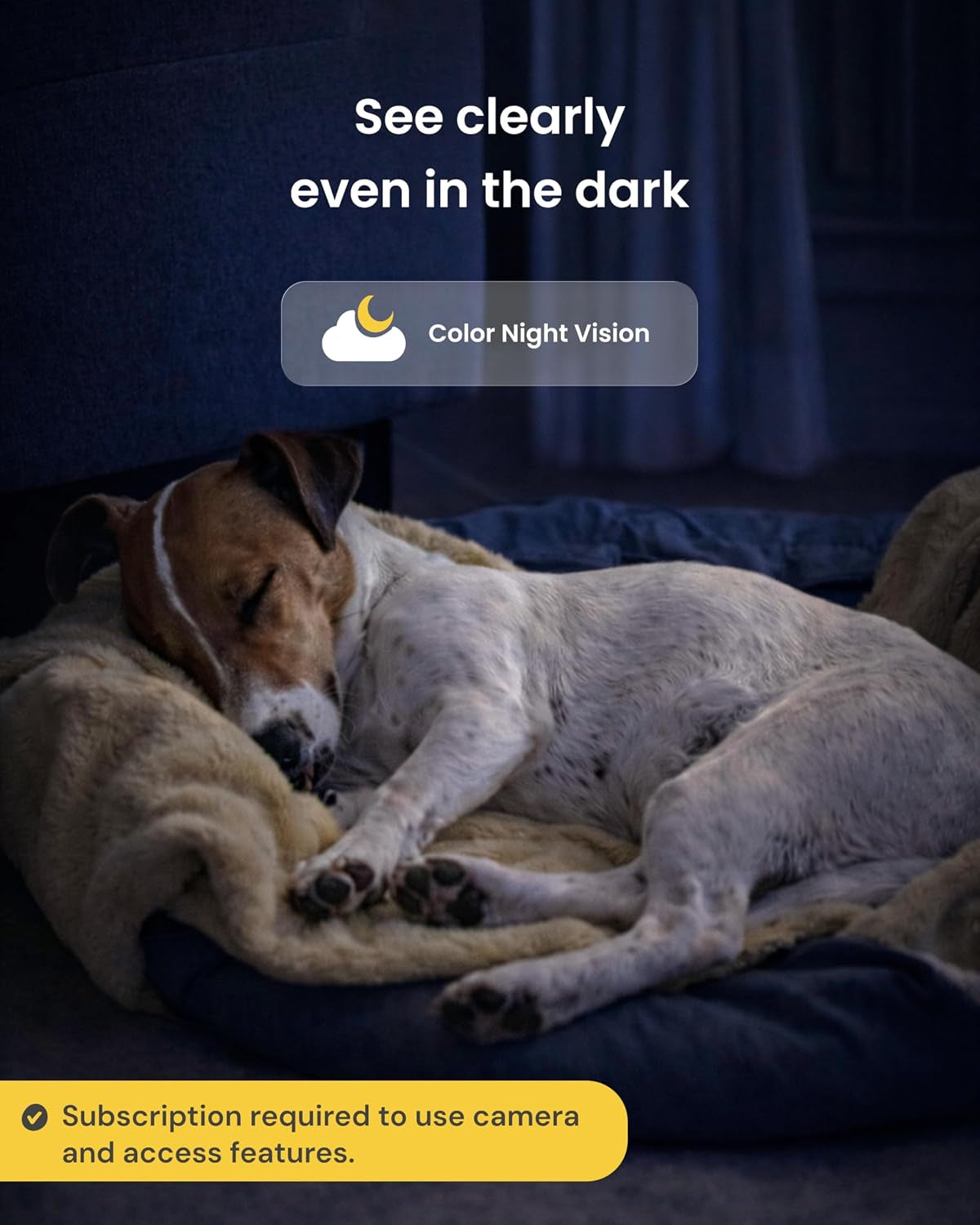Furbo 360° Dog Camera [Paid Plan Required to Activate]