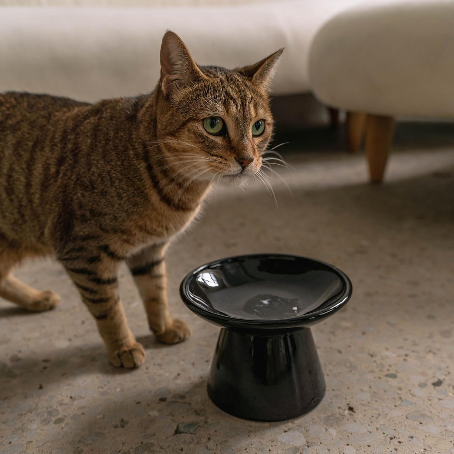 Flat Top Ceramic Bowl for Cats - Black - 7.5Oz Capacity, Stylish Pet Safe Feeding Dish, Dishwasher Safe, Food & Water, Scratch Resistant