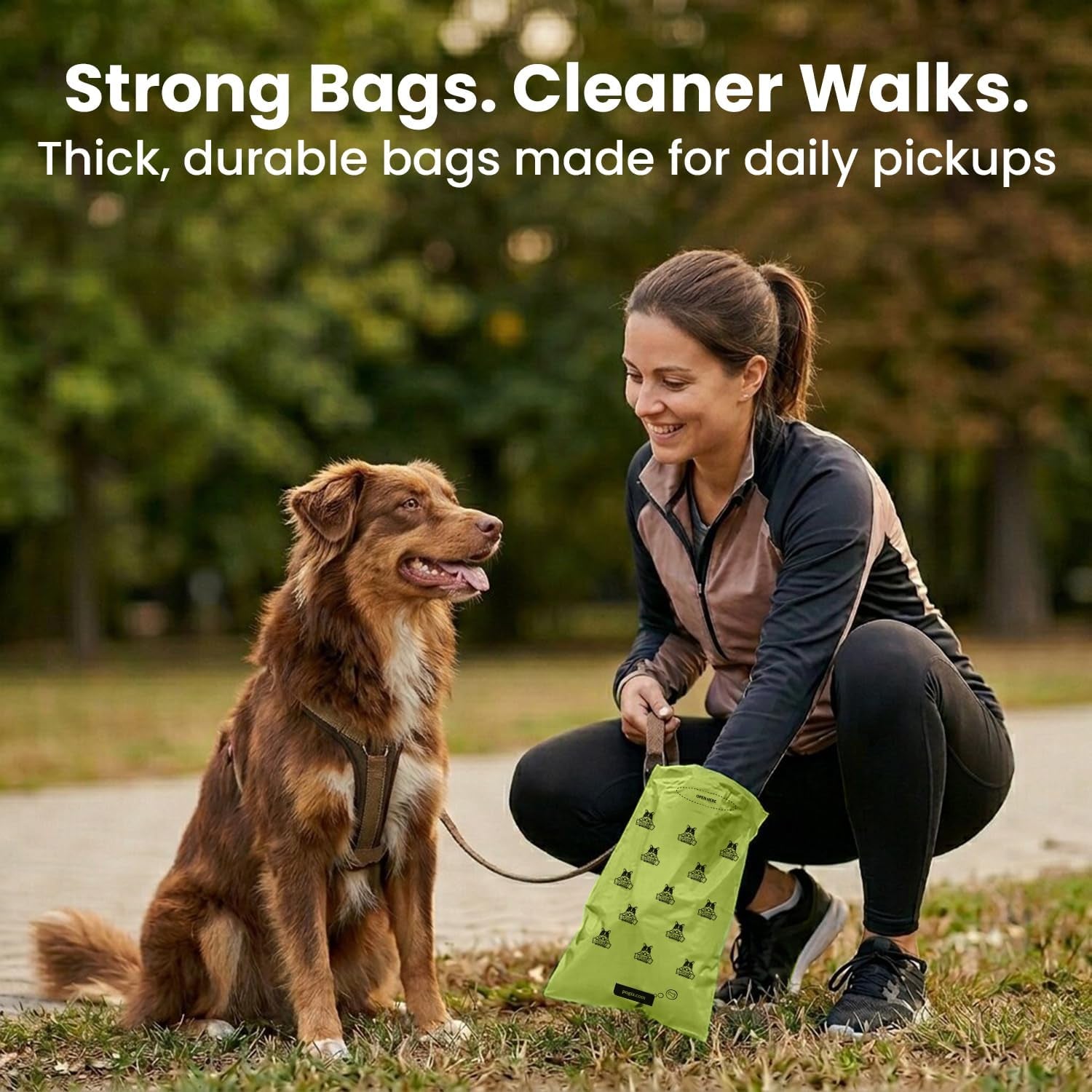 Pogi'S Poop Bags – Large, Leak-Proof Dog Waste Bags for Yard or Home Use, Fresh Scent (Single Roll, 500-Count)