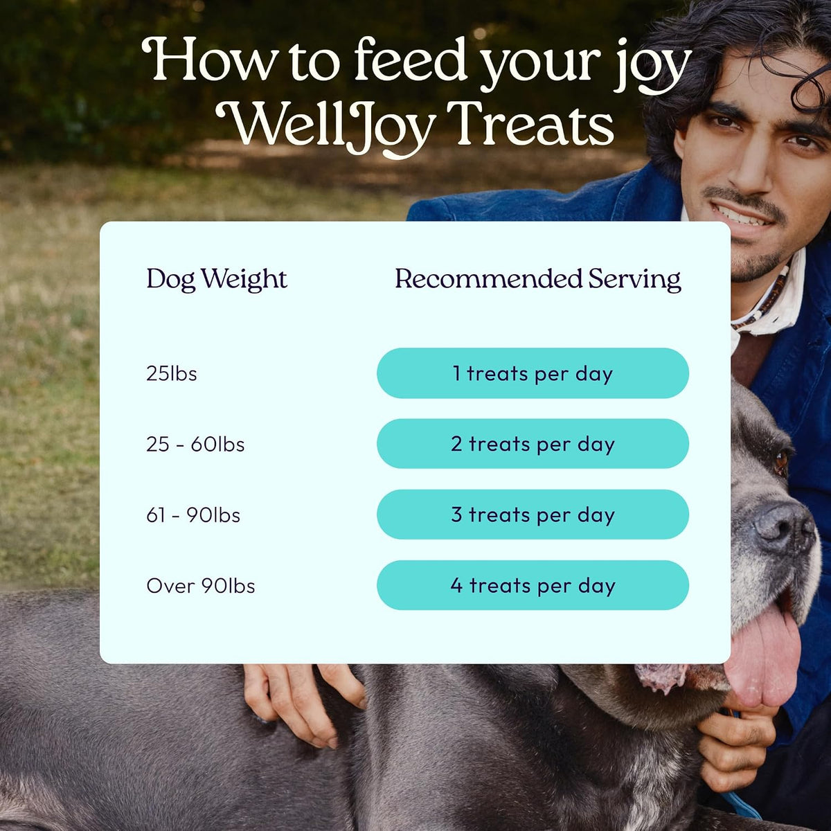 Welljoy Joint Dog Treat + Glucosamine, Chondroitin, Gutboost, 30Ct