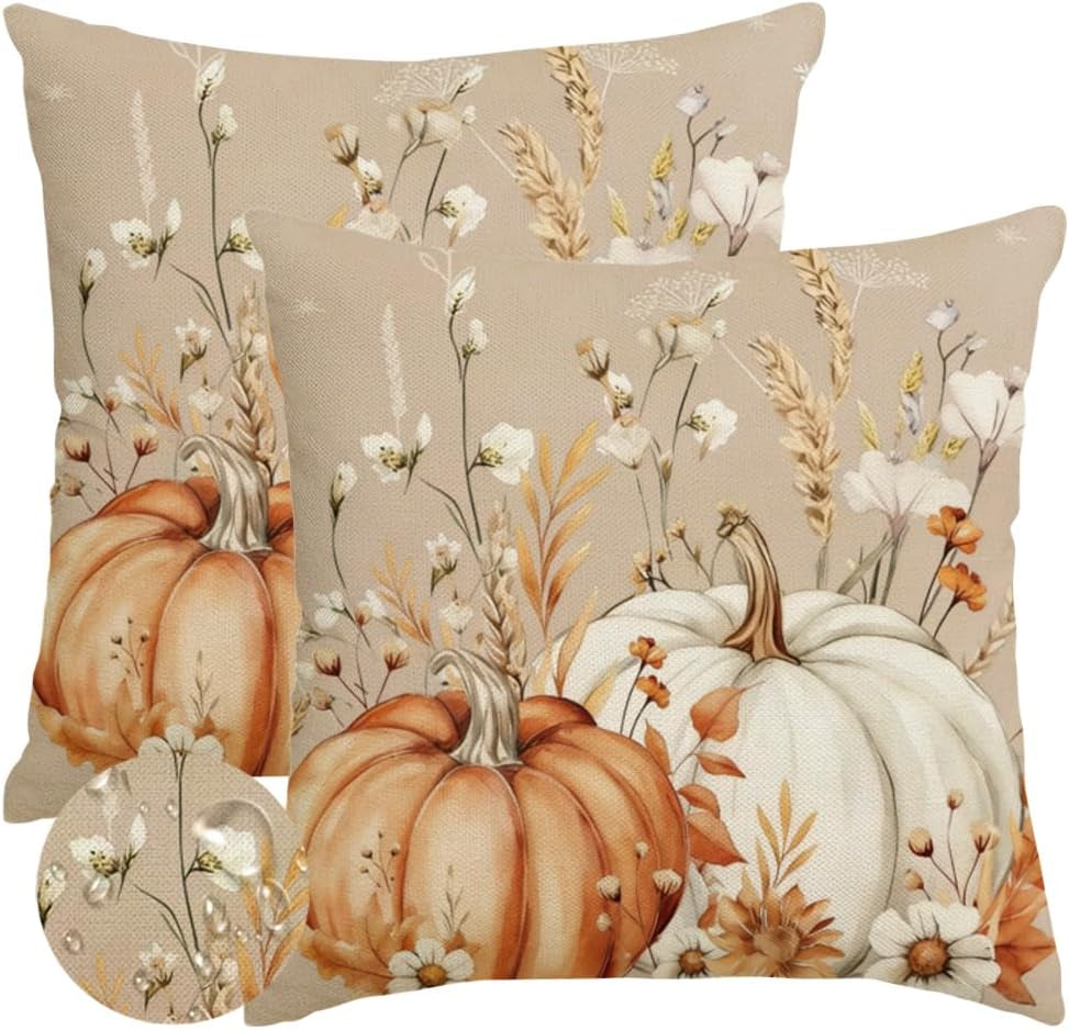 Fall Pumpkin Flower Brown Pillow Covers 18X18 Set of 2 Decor