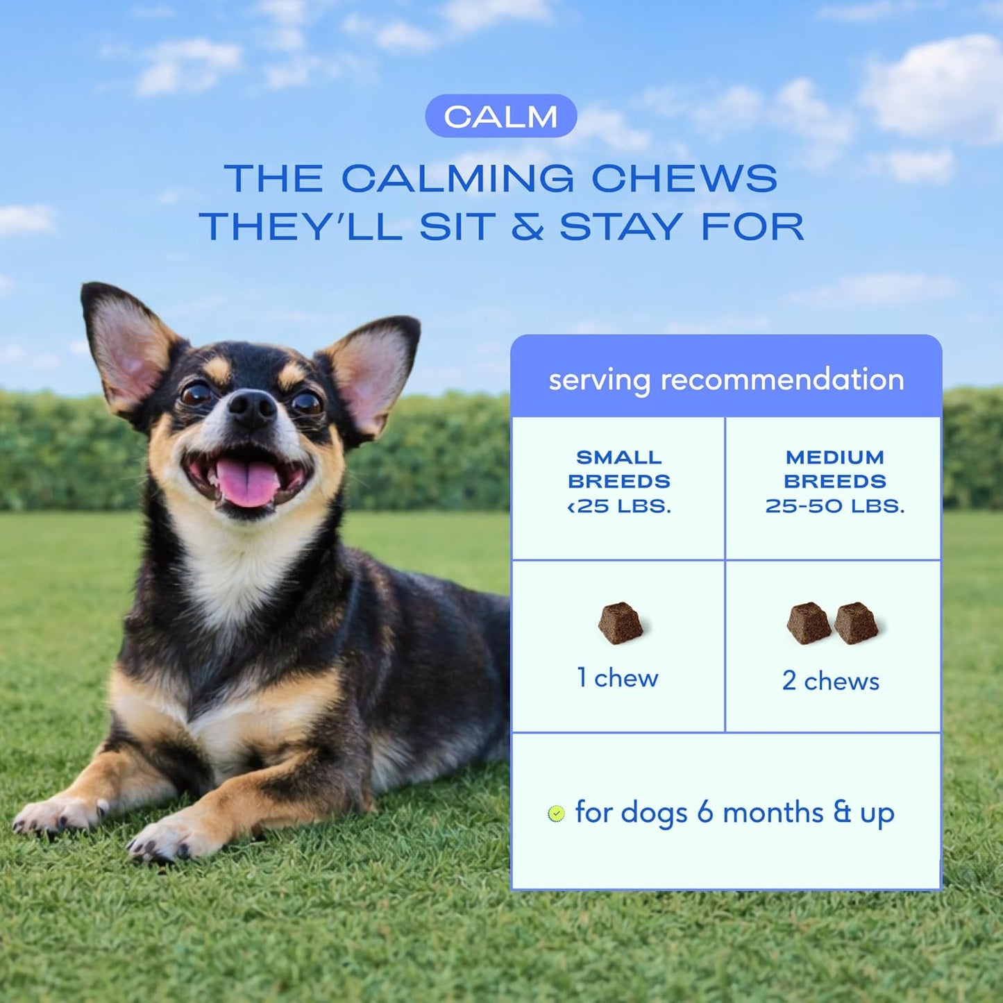 Native Pet Calming Chews for Dogs - Promotes Calming Effect, Supports Emotional Balance & Reduces Hyperactivity - Hemp Seed, Melatonin for Dogs, L-Theanine & Casein - 30 Chews