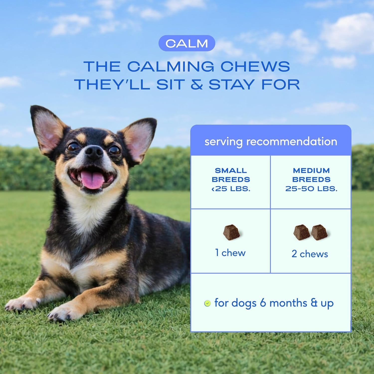 Native Pet Calming Chews for Dogs - Promotes Calming Effect, Supports Emotional Balance & Reduces Hyperactivity - Hemp Seed, Melatonin for Dogs, L-Theanine & Casein - 30 Chews