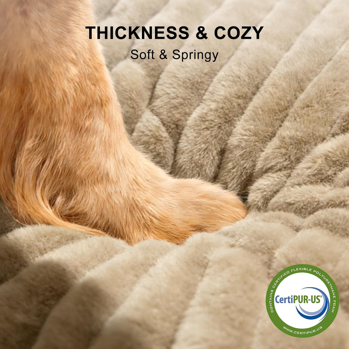FURTIME Dog Bed for Small Dogs, Washable Orthopedic Dog Bed with Removable Cover, Rectangle Soft Calming Sleeping Puppy Bed Durable Pet Cuddler with Anti-Slip Bottom, Beige, S (20"X19"X6")