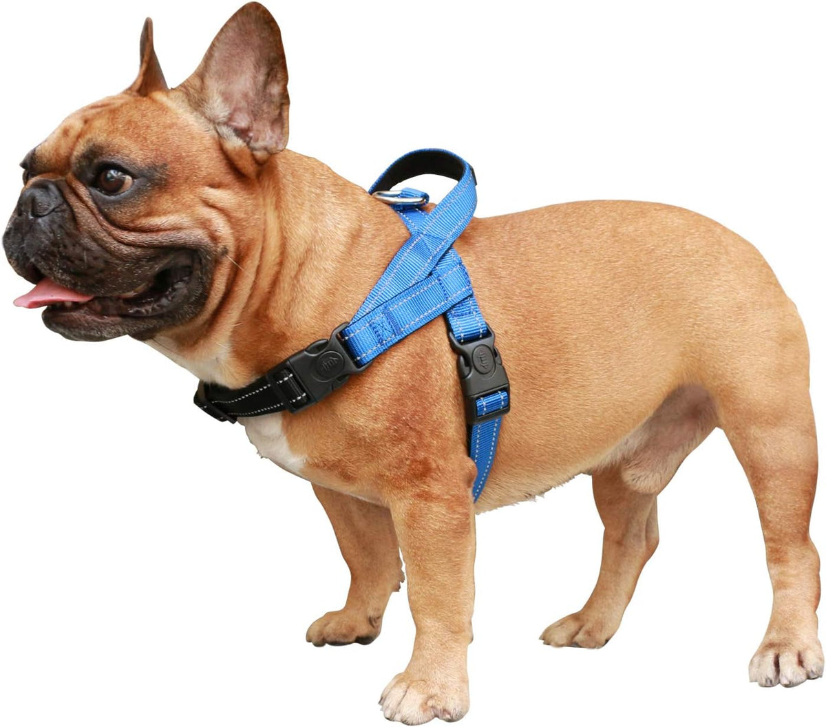 French Bulldog Harness Adjustable Padded Locked Buckle with Handle for Frenchie Pug English Boston Terrier Dogs, Blue, Medium