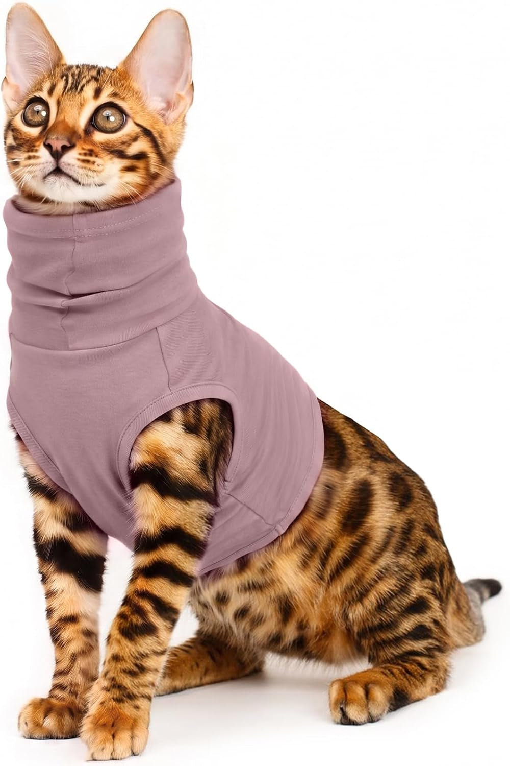 ROZKITCH Cat Neck Protector, Cat Surgery Recovery Suit