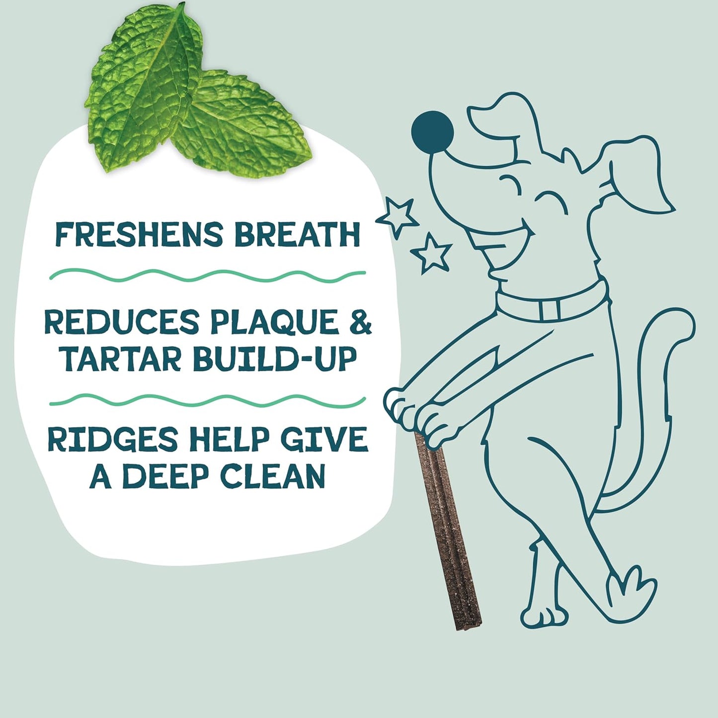 Shameless Pets Blueberry & Mint Dental Chews for Dogs, 32 Chews - Natural Dog Teeth Cleaning Treats with Fresh Breath Benefits | Grain-Free Dental Sticks for Small, Medium & Large Dogs