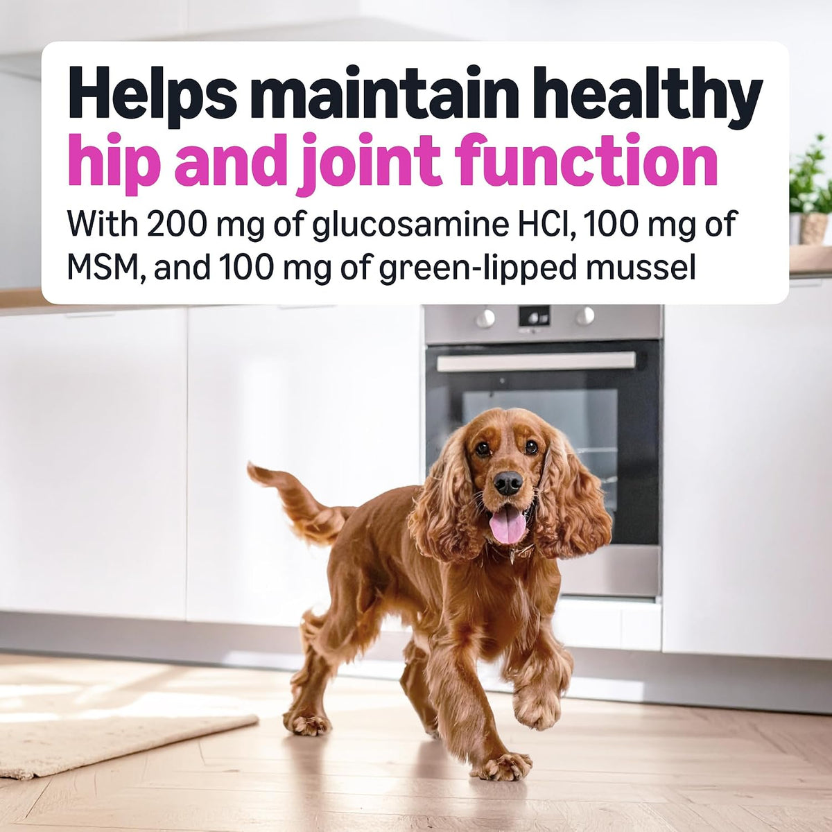 Amazon Basics Dog Hip & Joint Daily Supplement Chews with Glucosamine, MSM, and Vitamin C, Duck Flavored, 120 Count, Packaging May Vary