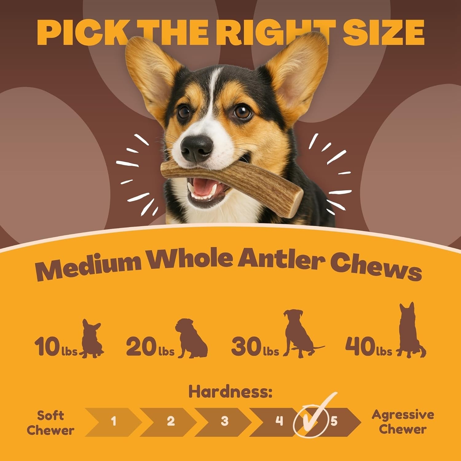 Whitetail Naturals Deer Antler Dog Chews (3 Pack Medium) - Long Lasting, Naturally Shed Whole Antlers for Dogs - Long Lasting Dog Bones for Power Chewers