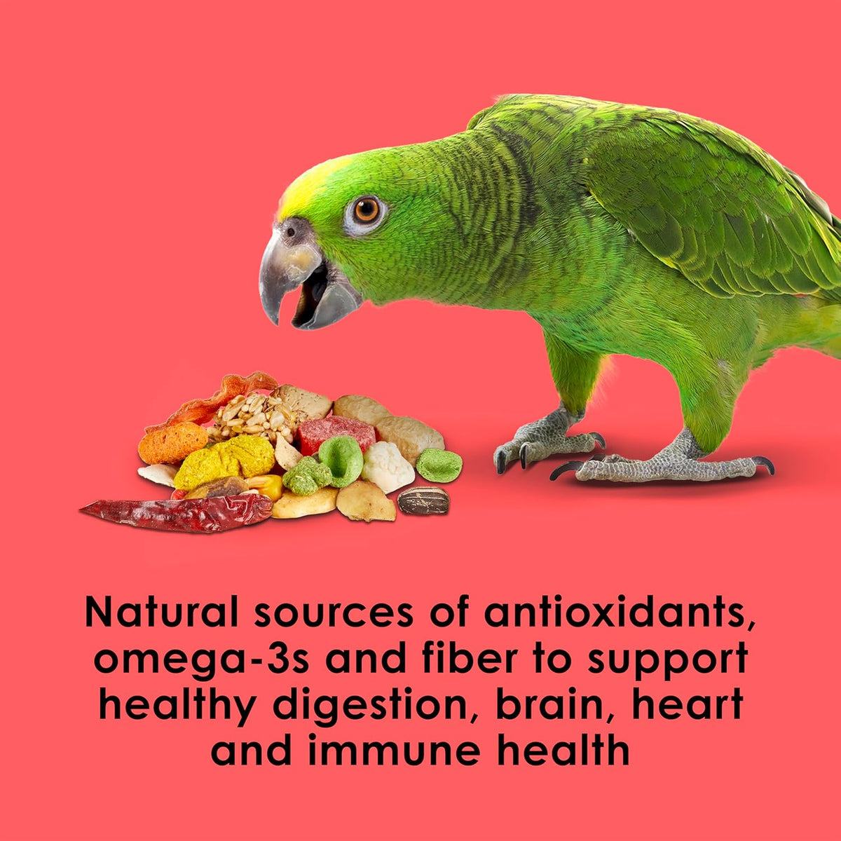 Kaytee Fiesta Parrot Food for Large Birds, 2.5 Pounds