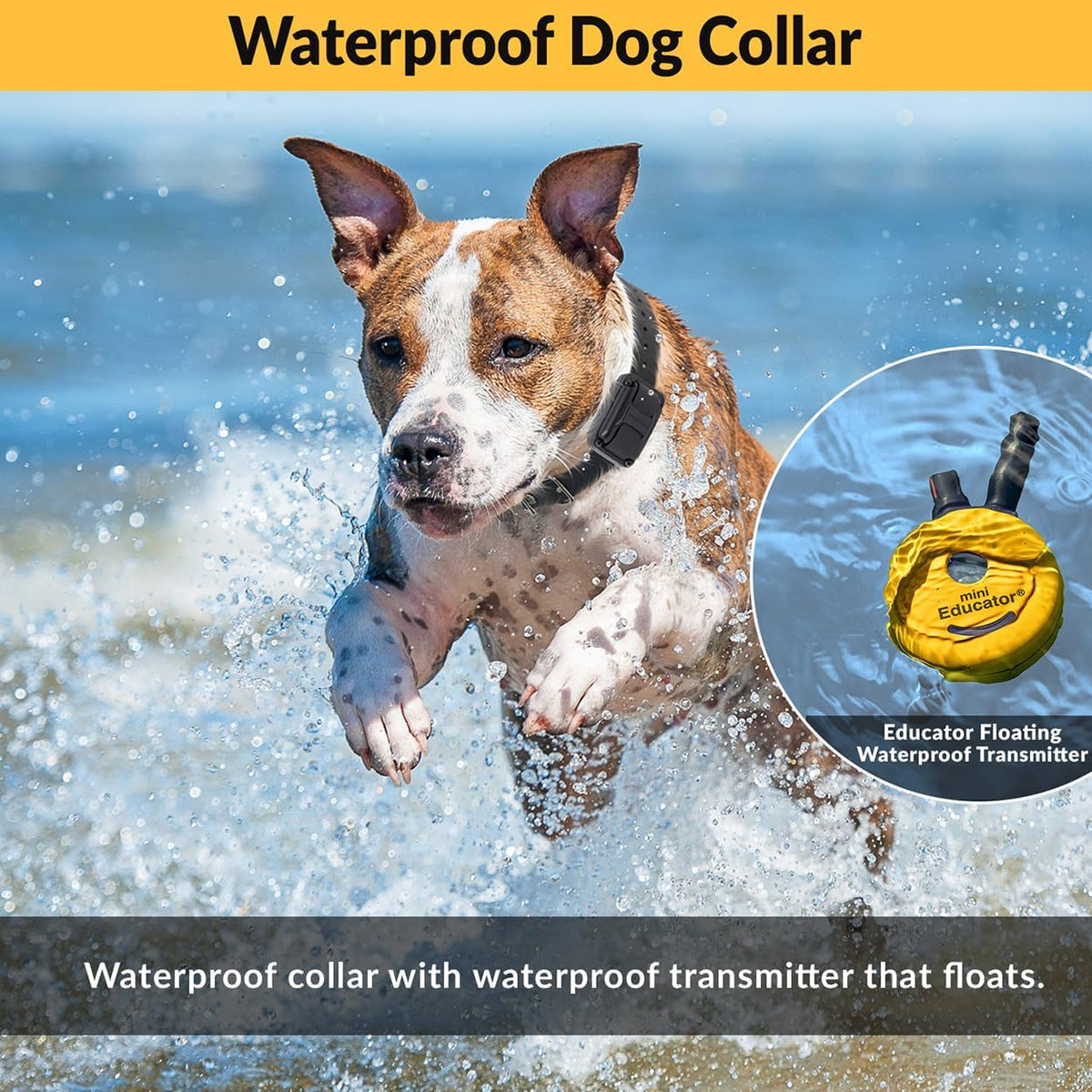 E-Collar ET-300 Mini Educator Dog Training Collar & Finger Clicker, Yellow