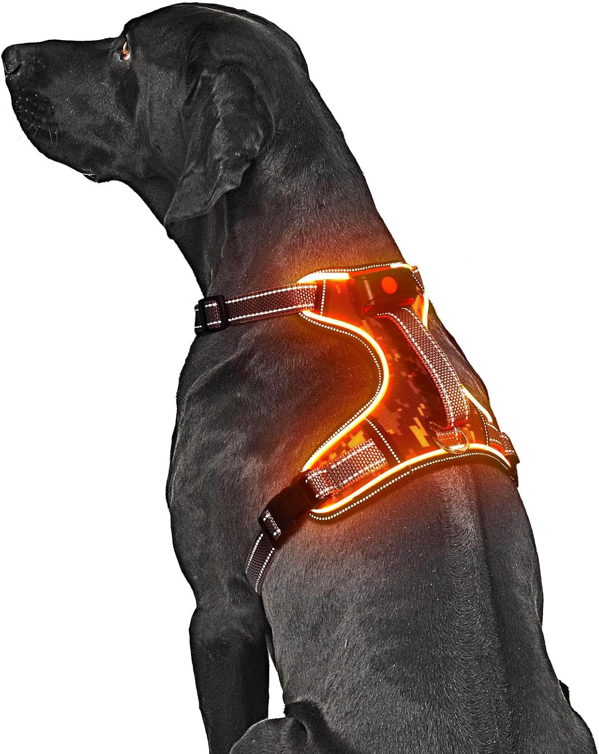 Led Dog Harness, Safety Vest Harness with Soft Handle (Orange, M)